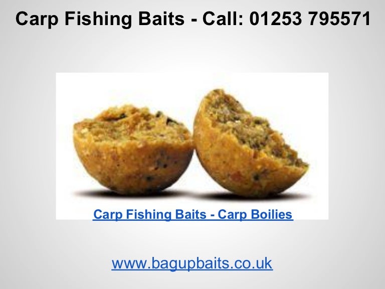 Carp Fishing Baits