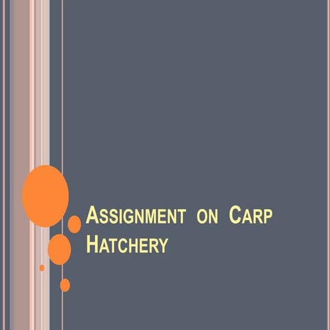 Carp hatchery