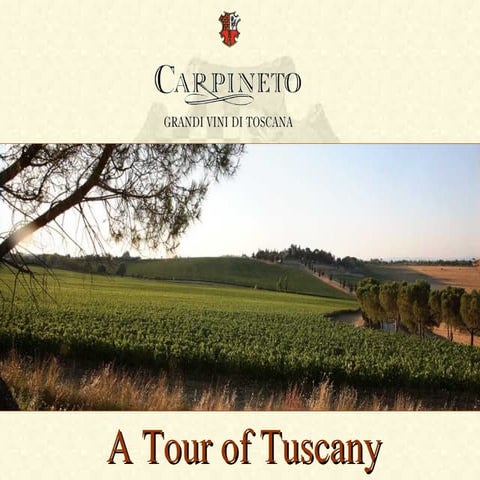 Carpineto, A Tour of Tuscany