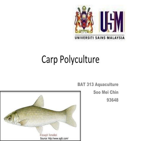 Carp Polyculture Presentation