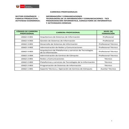 Carreras vinculadas-programacion-informatica-consultoria-de-informatica