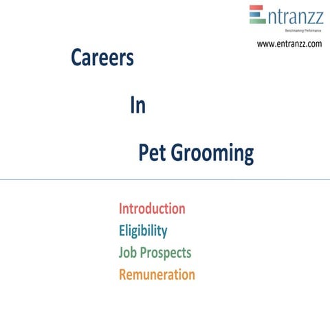 Carrers in pet grooming