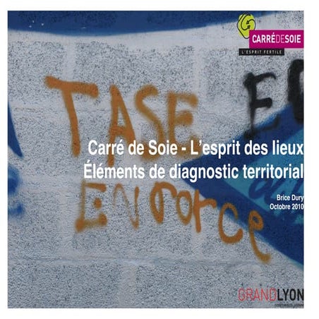 Carre de Soie - Diagnostic territorial