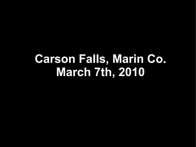 Photo Essay: Carson Falls, Marin Co., California