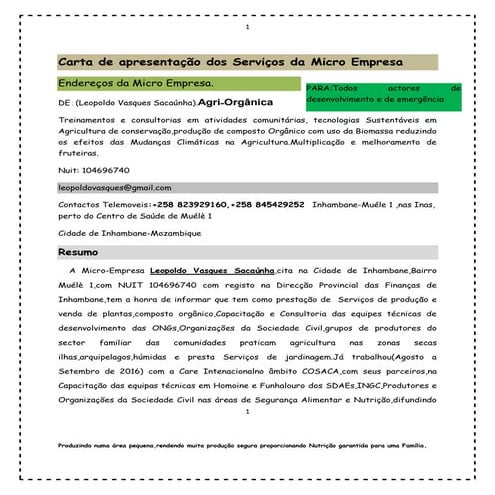Carta de apresentação da micro empresa | PDF