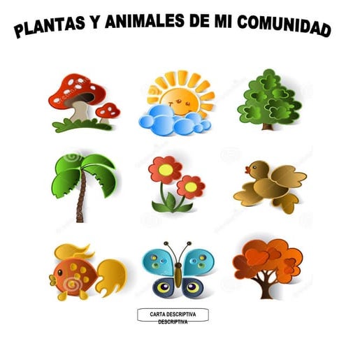 Carta descriptiva 1 a nov dic las plantas y los animales de mi