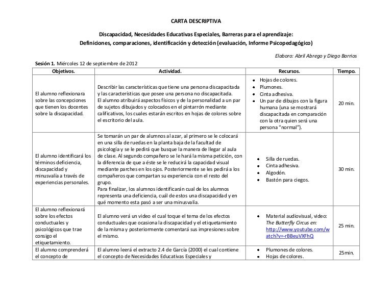 Carta descriptiva nee