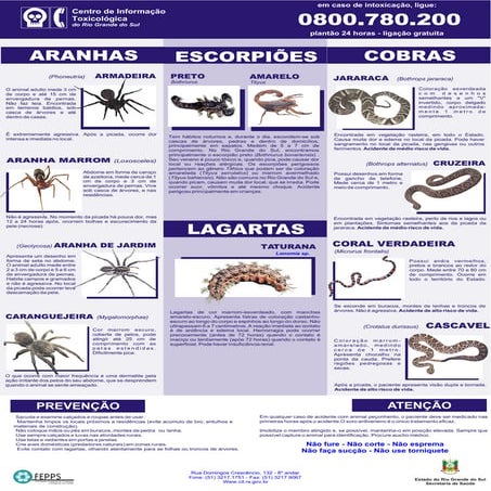 Cartaz animais cit rs