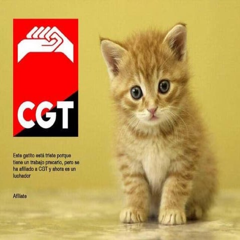 CARTEL CGT - GATITO CGT
