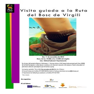 Cartell   ruta del bosc de virgili ...