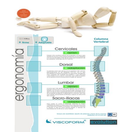 Cartel técnico ergonomía 70x100 español