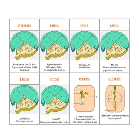 Cartes mímica o d'endevenir a partir definició