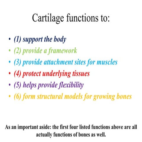Cartilage