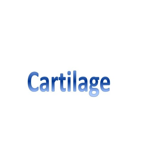Cartilage