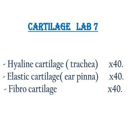 Cartilage and bone | PPTX