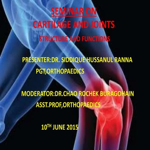 Cartilage and joints