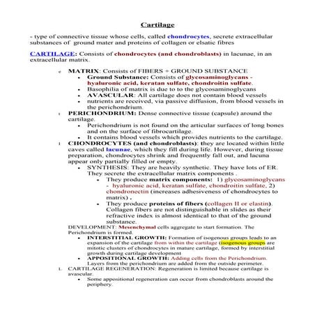 Cartilage, bone   copy