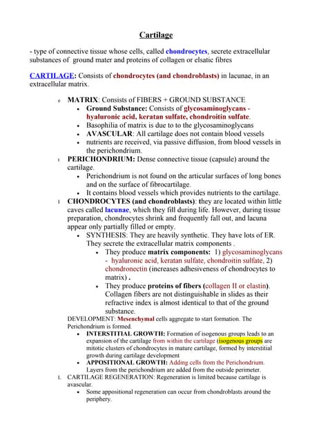 Cartilage, bone   copy