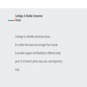 Comprehensive Overview of Cartilage: Types, Structure, and Functions in ...