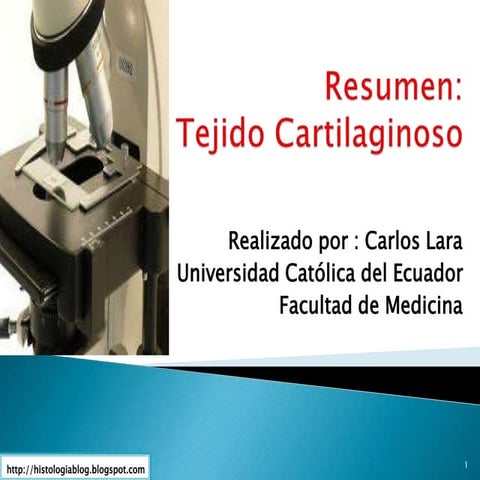 Resumen de tejido cartilaginoso