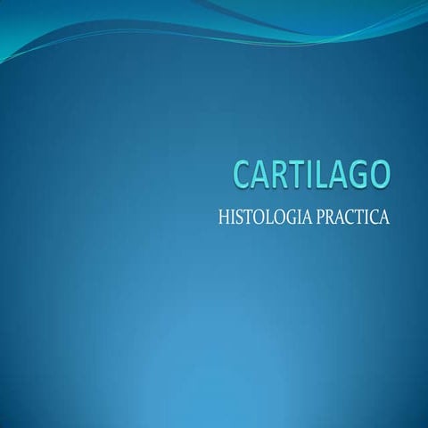 Cartilago