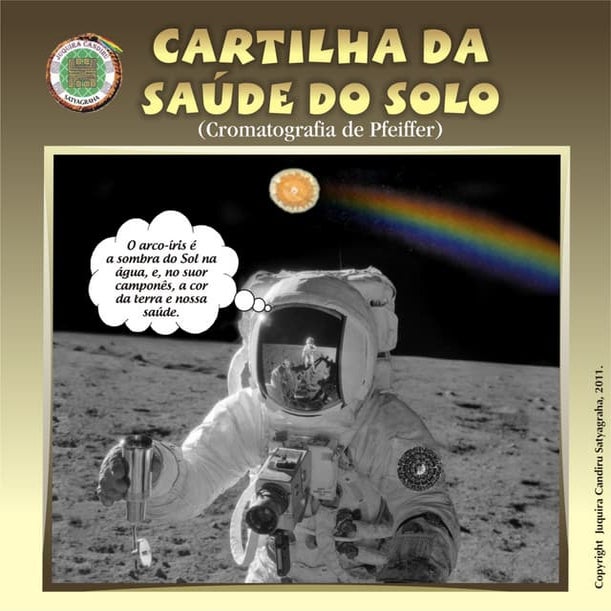 Cartilha da saúde do solo   cromatografia