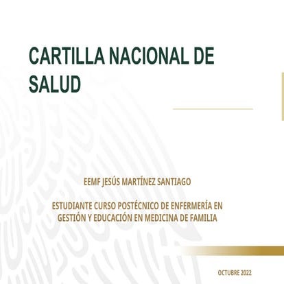 INSTRUCTIVO LLENADO FORMATO RAIS MED PRE | PDF