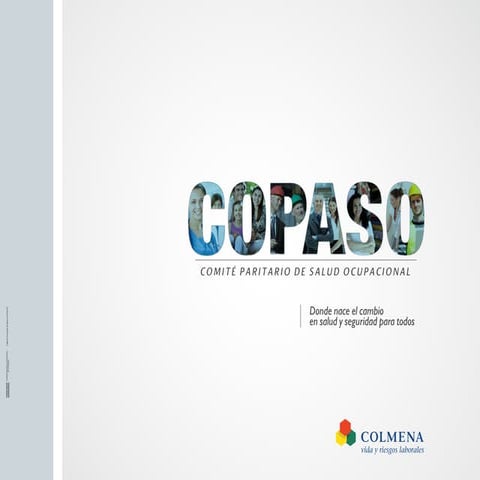 Modelo COPASO | PDF
