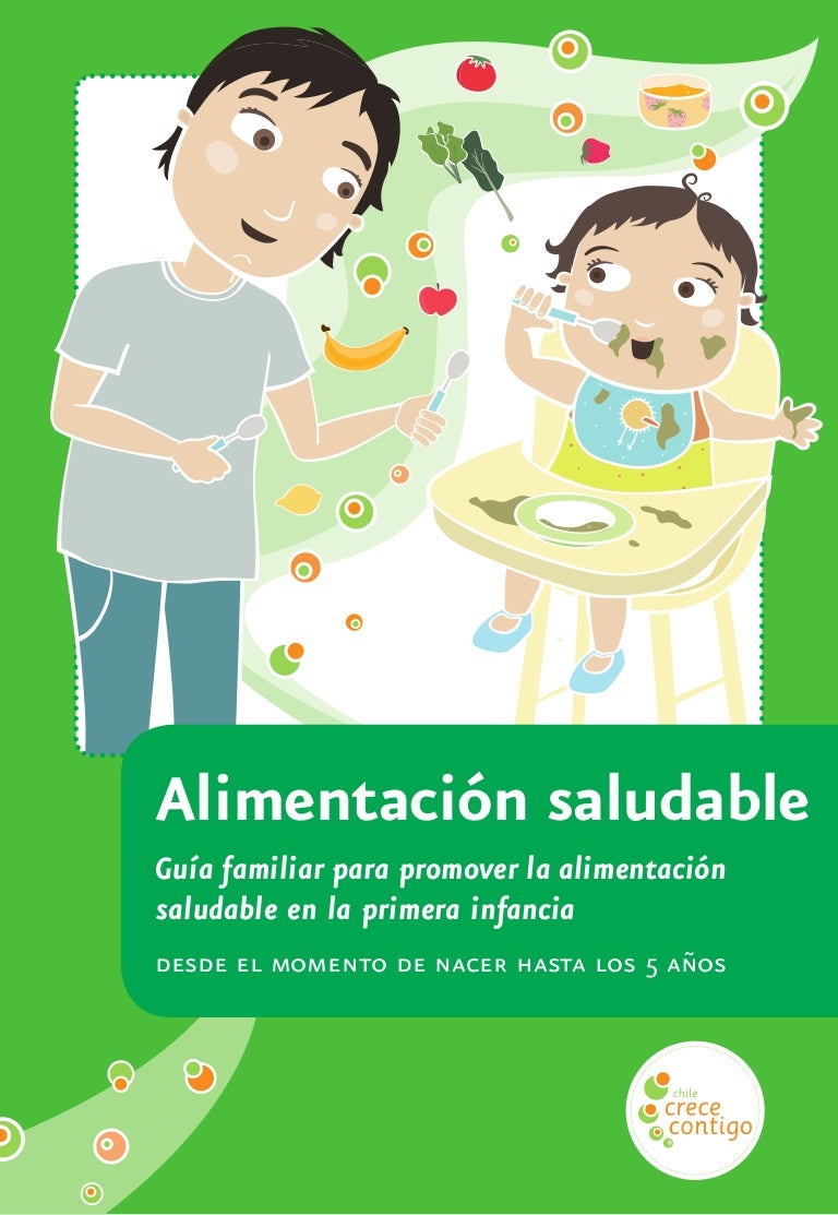 como hacer una alimentacion saludable