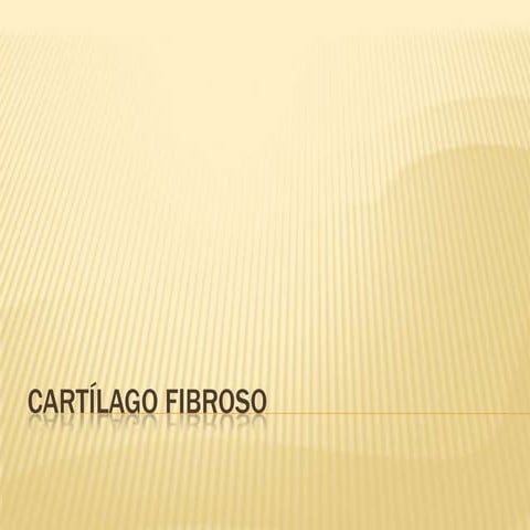 Cartílago fibroso