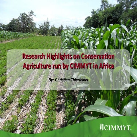 Research Highlights on Conservation agriculture by CIMMYT in AFrica