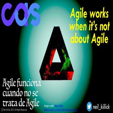 Agile works when it's not about agile