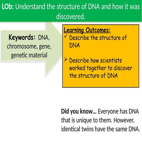 CAs1  topic biology adfdffgfdggfgfdg.pptx