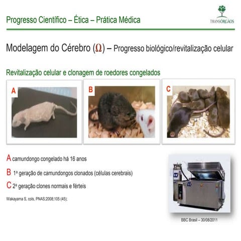 Casa do saber resumida