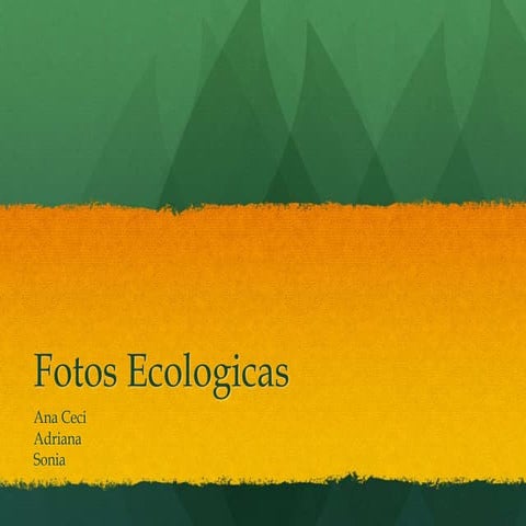 Casa ecologicas