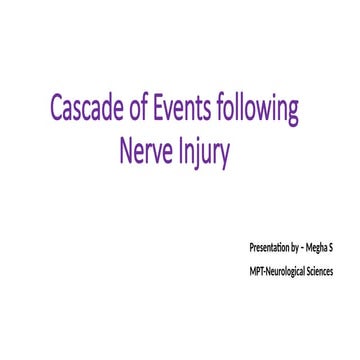 Assessment of Occipital Lobe Dysfunction | PPTX