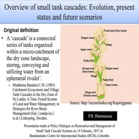 Overview of small tank cascades: Evolution, present status and future scenarios