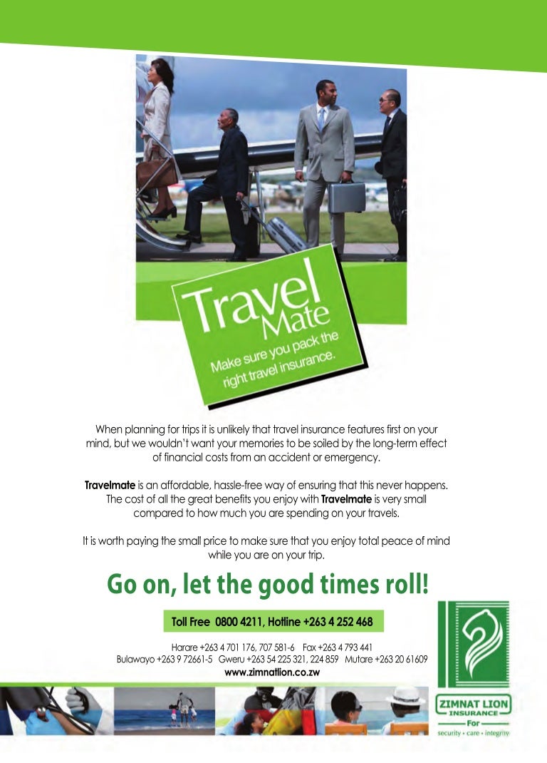 Zimnat Lion Insurance "Case" advert copy