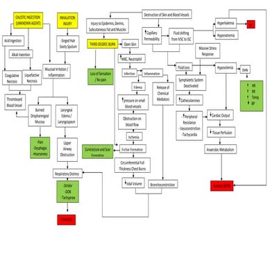 Nursing care plan chronic renal failure | PDF