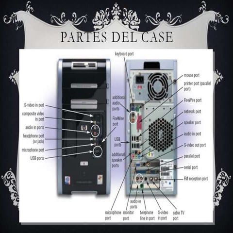 Cases 12