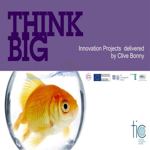 Case studies innovation by Clive Bonny Strategic Management Partners