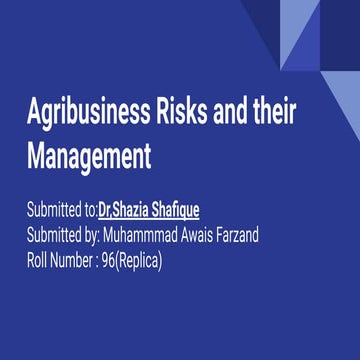 Lecture 19 Risk and Uncertainty | PPTX