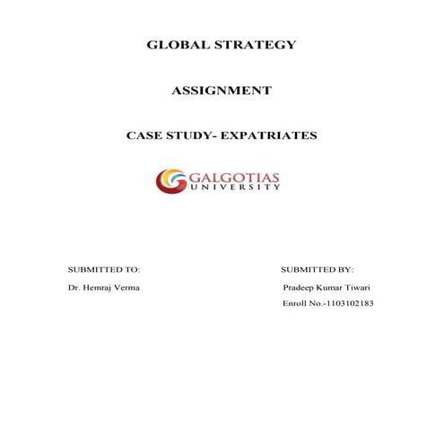 Case study expatriates | PDF