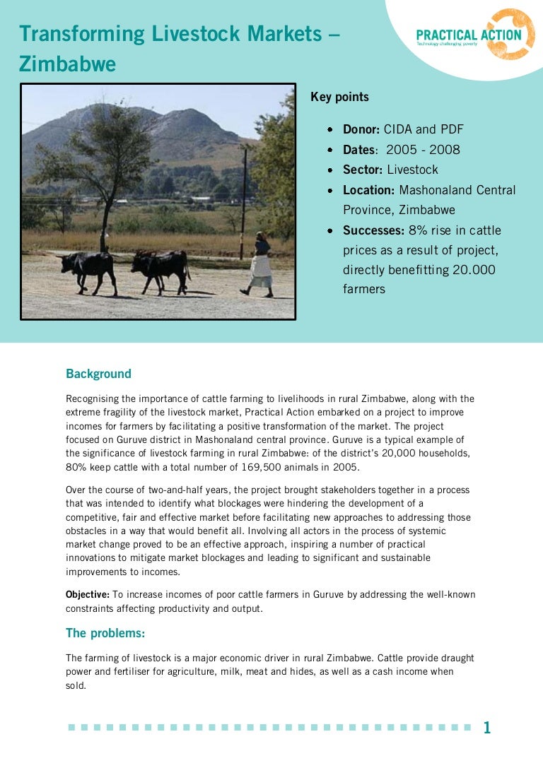 Great zimbabwe picture