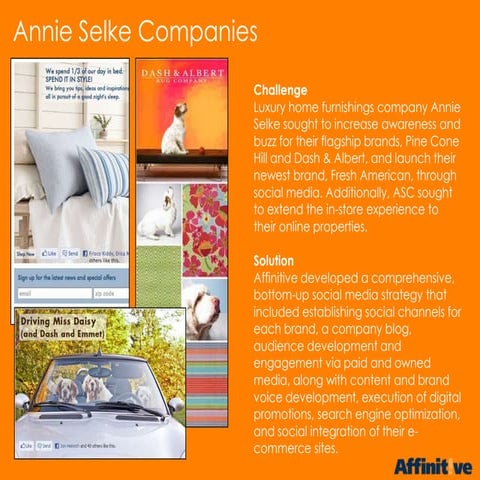 Annie Selke Companies Social and Digital Strategy