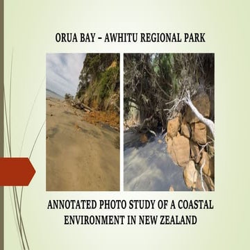 A2 CAMBRIDGE GEOGRAPHY: COASTAL ENVIRONMENTS - CASE STUDY NEW ZEALAND