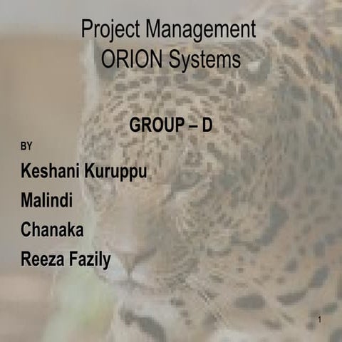 Project Management ORION Systems