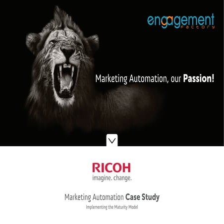 Case study ricoh
