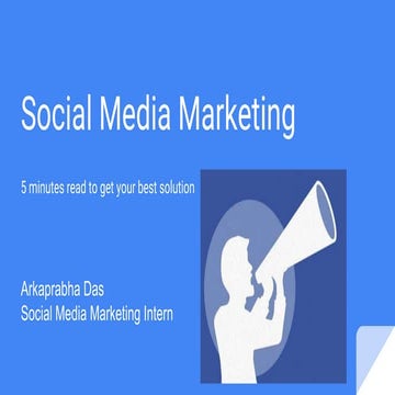 Smm plan | PDF