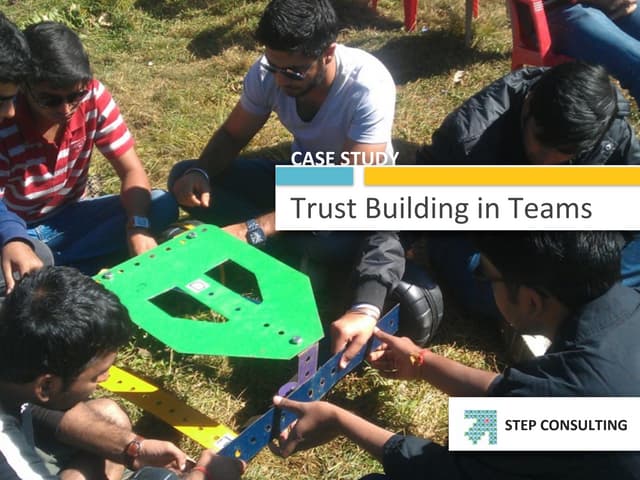 Trust Building in Teams - Case Study